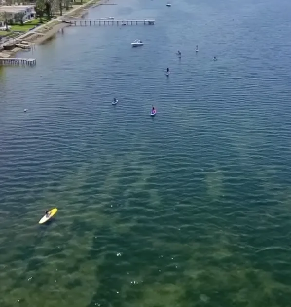 Sede Paracas